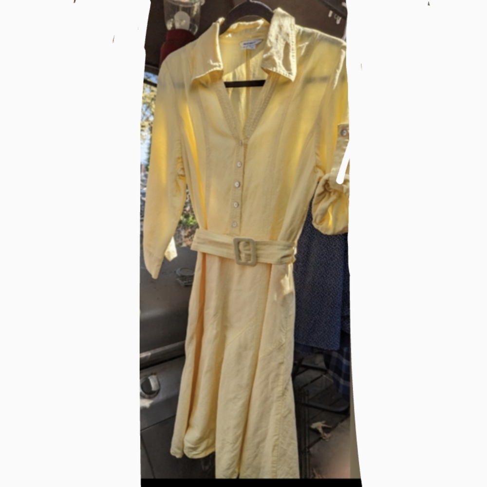 Vintage Appraisal dress